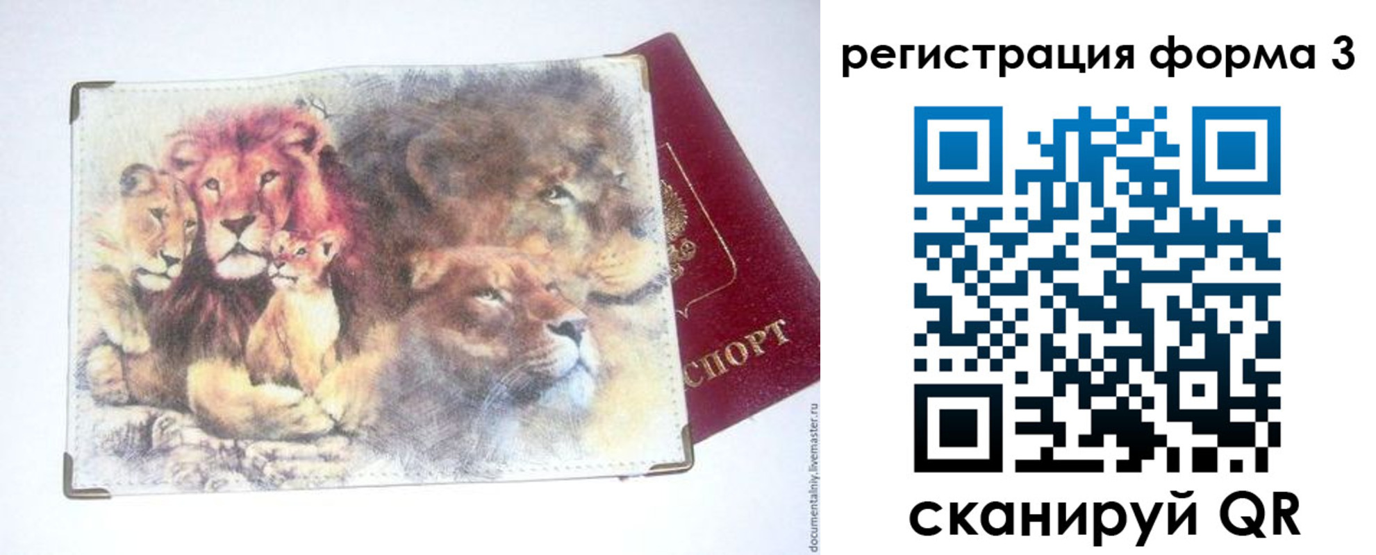 прописка в квартире в Мончегорске